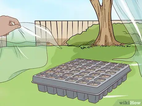 Image titled Plant Angel Trumpet Seeds Step 14