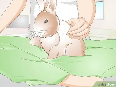 Image titled Care for Disabled Rabbits Step 2