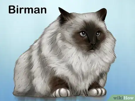 Image titled Choose a Kid Friendly Cat Step 16