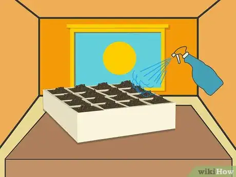 Image titled Grow Chrysanthemums Step 12