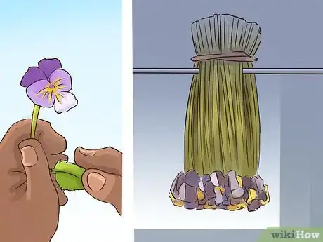 Image titled Harvest Heartsease Step 9