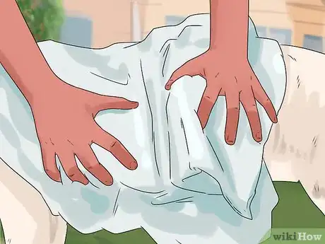 Image titled Give Your Dog a Make Over Step 9