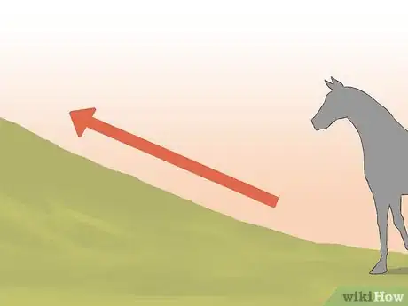 Image titled Get a Horse Fit Step 11