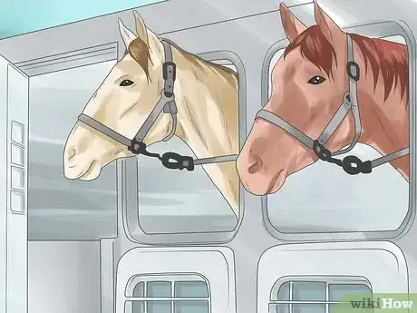 Image titled Prepare for a Horse Show Step 11