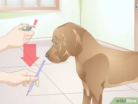 Image titled Clicker Train a Dog to Bow Step 4