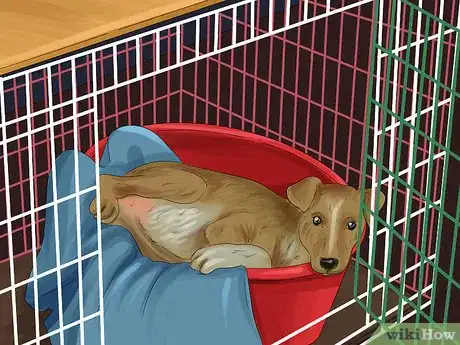 Image titled Return a Stray Dog to Its Owner Step 9