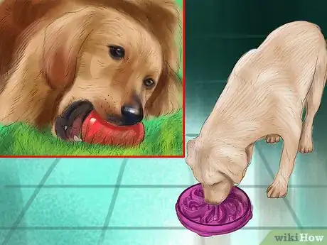 Image titled Keep Your Pet Occupied when You Are Not at Home Step 3