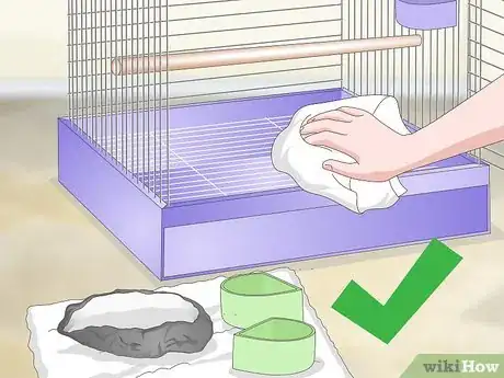 Image titled Clean a Cockatoo Cage Step 11