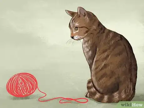 Image titled Find Your Cat's Preferred Play Style Step 6