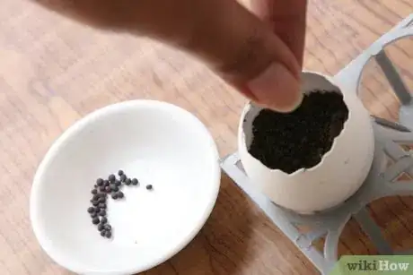 Image titled Recycle Eggshells in Gardening Activities Step 1Bullet4