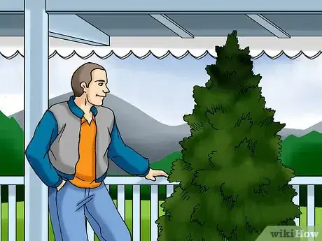 Image titled Plant a Living Christmas Tree Step 5