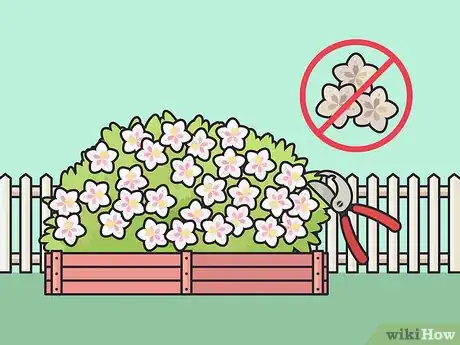 Image titled Grow Weigela Step 9