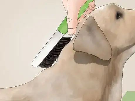 Image titled Keep a House Clean when You Have a Dog Step 9