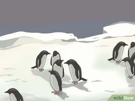 Image titled Visit SeaWorld San Diego Step 28