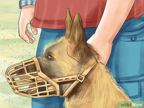 Image titled Stop Your Dog from Misbehaving Dangerously Step 1