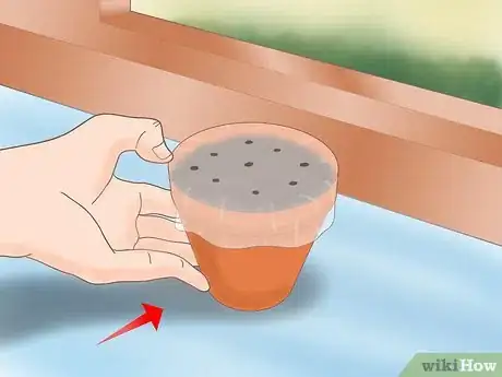 Image titled Plant a Lemon Seed Step 9