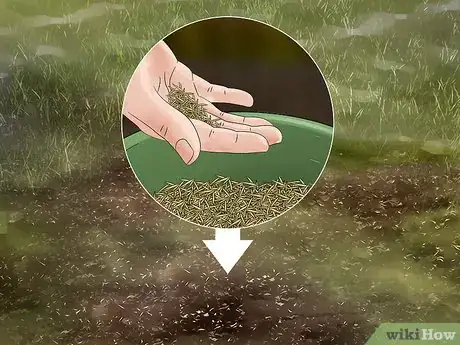 Image titled Get Rid of Ground Bees Step 3