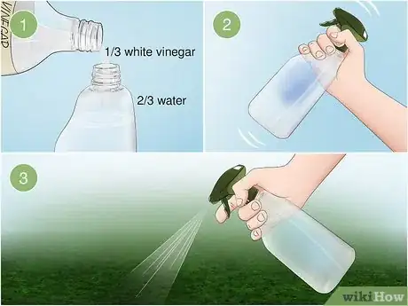 Image titled Get Rid of Ants in the Garden Step 2