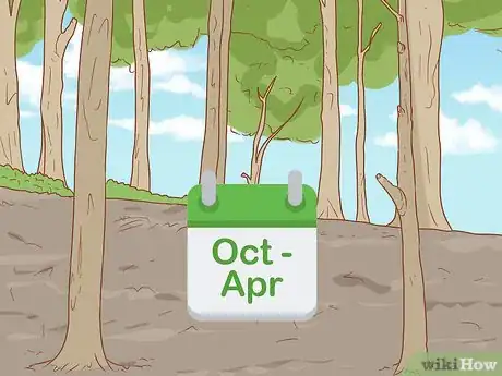 Image titled Hand Feed a Chickadee Step 1