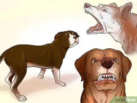 Image titled Decode Your Dog's Barks Step 8