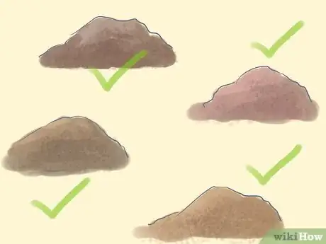 Image titled Grow a Pencil Tree (Euphorbia Tirucalli) Step 6