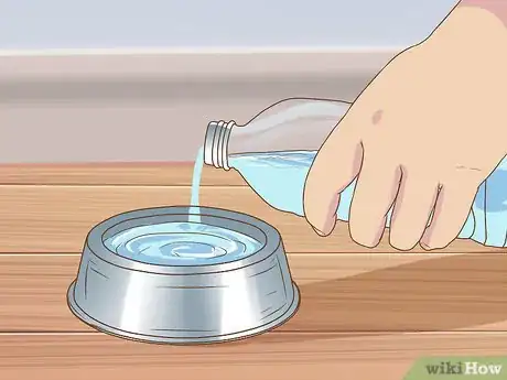 Image titled Clean a Chinchilla Cage Step 4