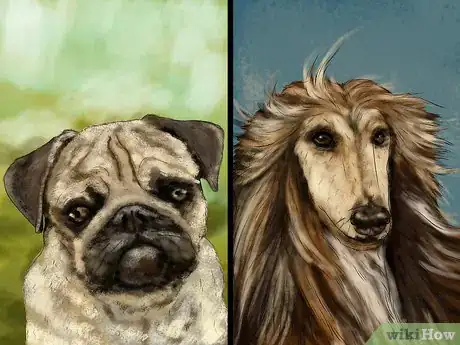 Image titled Keep Your Dog Safe in Extreme Weather Step 10