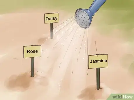 Image titled Grow Flowers from Seed Step 12