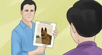 Avoid Losing Your Dog