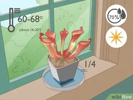 Image titled Raise Carnivorous Plants Step 19