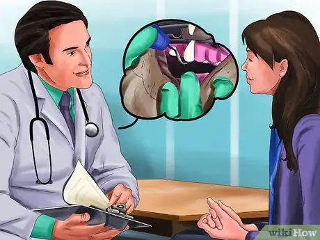 Image titled Get Your Cat's Teeth Professionally Cleaned Step 3