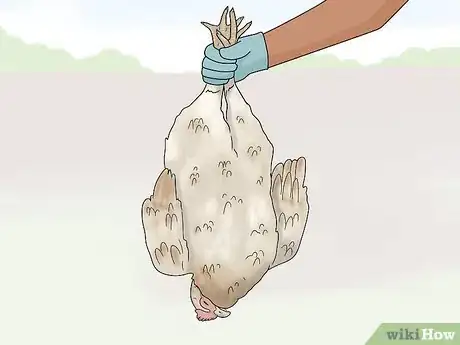 Image titled Raise Meat Chickens Step 25