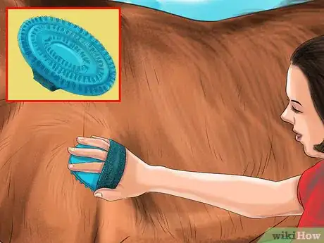 Image titled Keep a Horse Clean on a Budget Step 11