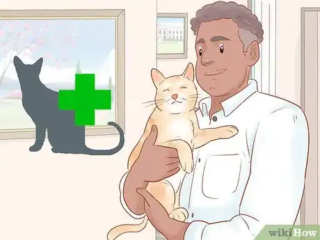 Image titled Diagnose and Treat Hypothermia in Cats Step 14