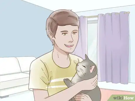 Image titled Look After Pets During Fireworks Step 10