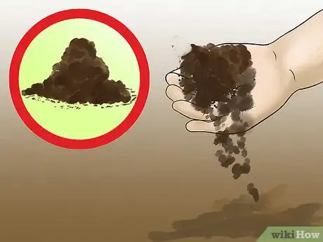 Image titled Grow a Bed Head Garden Step 9