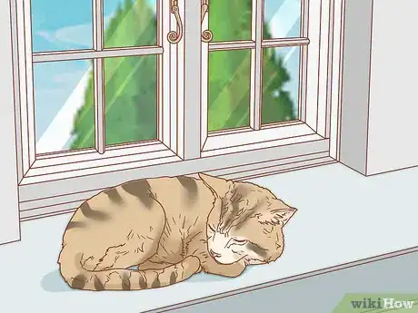 Image titled Protect Cats During Winter Step 12