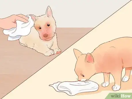 Image titled Keep a Pet When You Have Cats Step 6