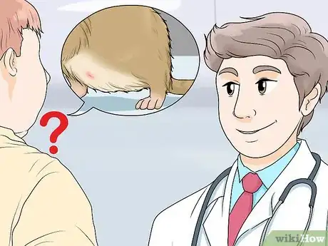 Image titled Spot and Treat Ovarian Cysts in Gerbils Step 8