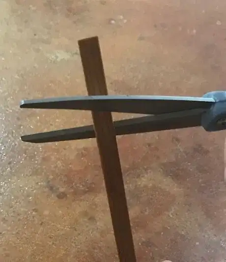 Image titled IMG_2718