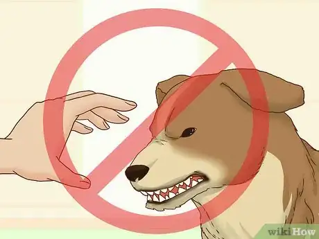 Image titled Interact with a Dog Before Adopting It Step 7