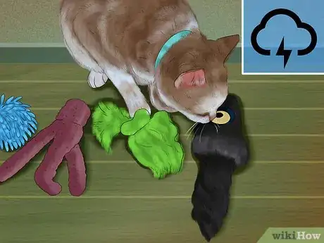 Image titled Identify and Treat Noise Phobias in Cats Step 6