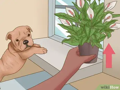 Image titled Puppy Proof Your Bedroom Step 5