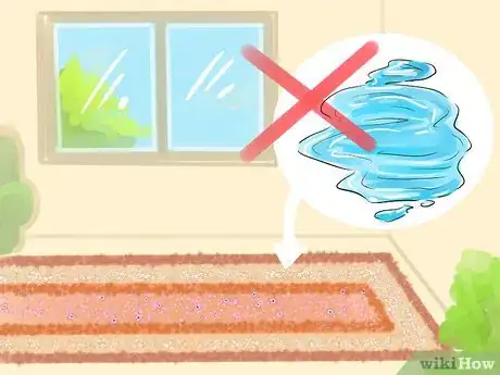 Image titled Clean a Valuable Oriental Rug and Remove Stains Step 8