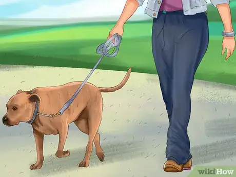 Image titled Buy Dog Training Collars Step 10