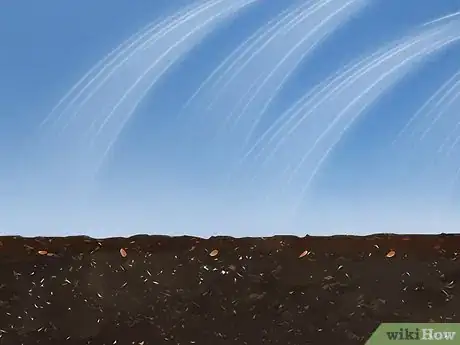 Image titled Grow Echium Step 10