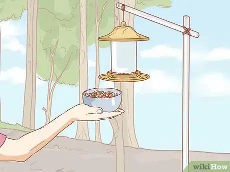 Image titled Hand Feed a Chickadee Step 10