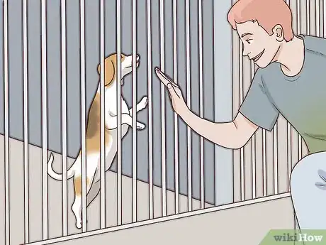 Image titled Choose a Small Dog Step 7