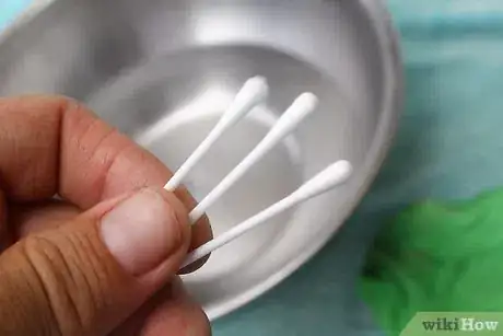 Image titled Wash a Figma Step 2