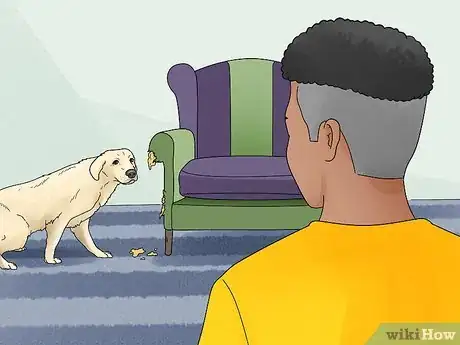 Image titled Choose a High Energy Dog Breed Step 10
